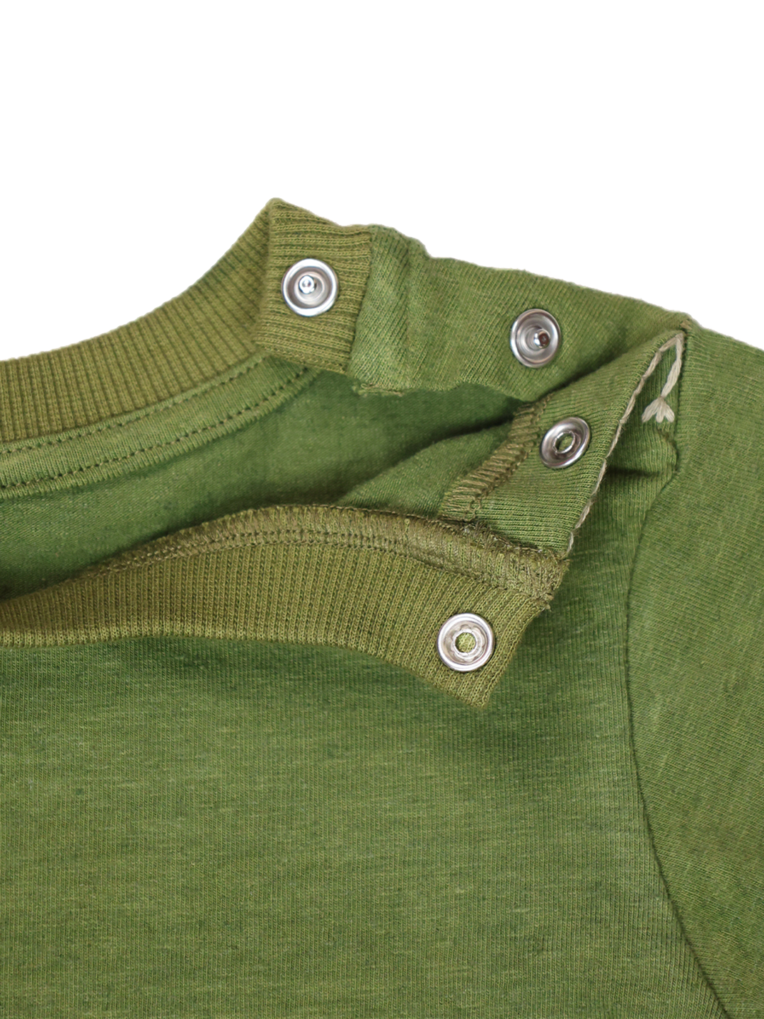 #color_dark olive